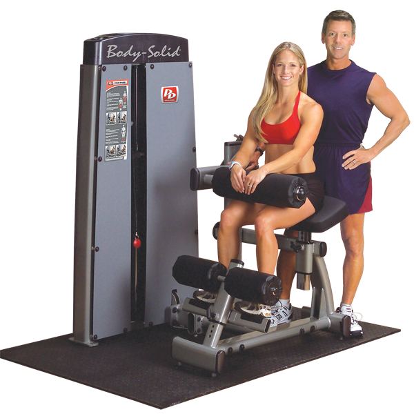 Body-Solid Pro Dual Ab and Back Machine DABB-SF